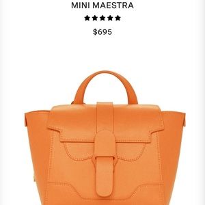 Senreve- a mini version of the iconic Maestra